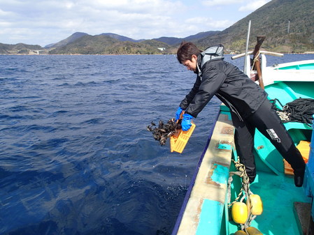 瀬がある天然魚礁