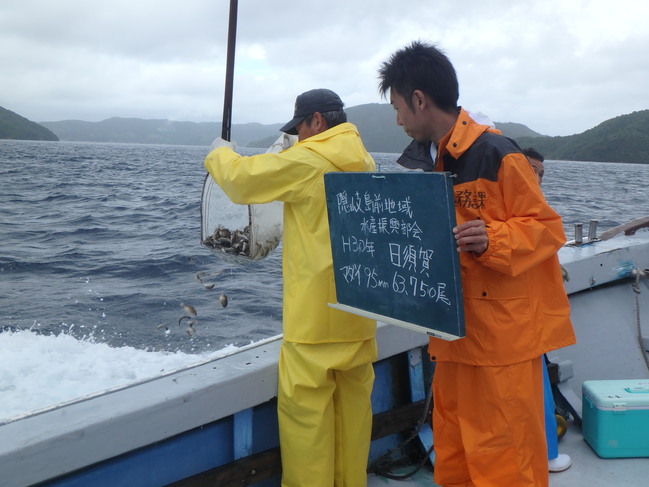 海士町　放流画像